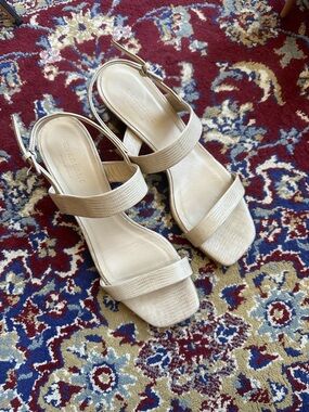 Everlane Women's double strap sandals